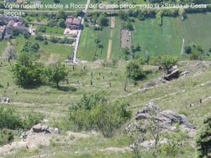 Le vigne «a muricci»